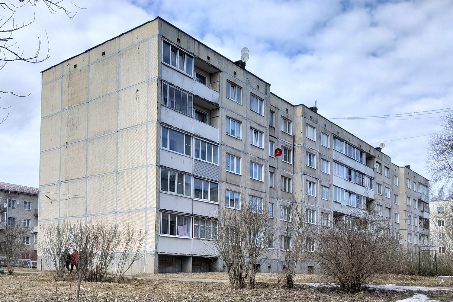 Волосовский район, прочие н. п., Калитино, 17