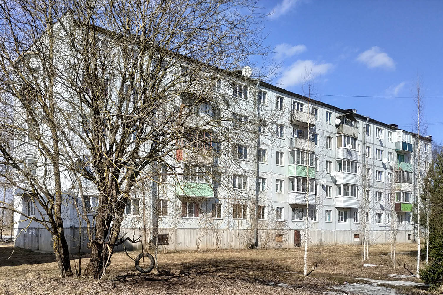 Волосовский район, прочие н. п., Калитино, 19