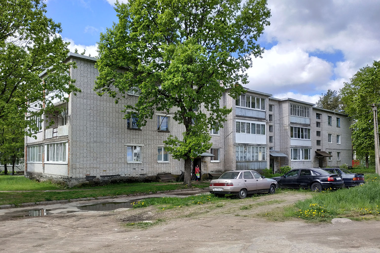 Выборгский район, прочие н. п., Пушное, Школьная улица, 9