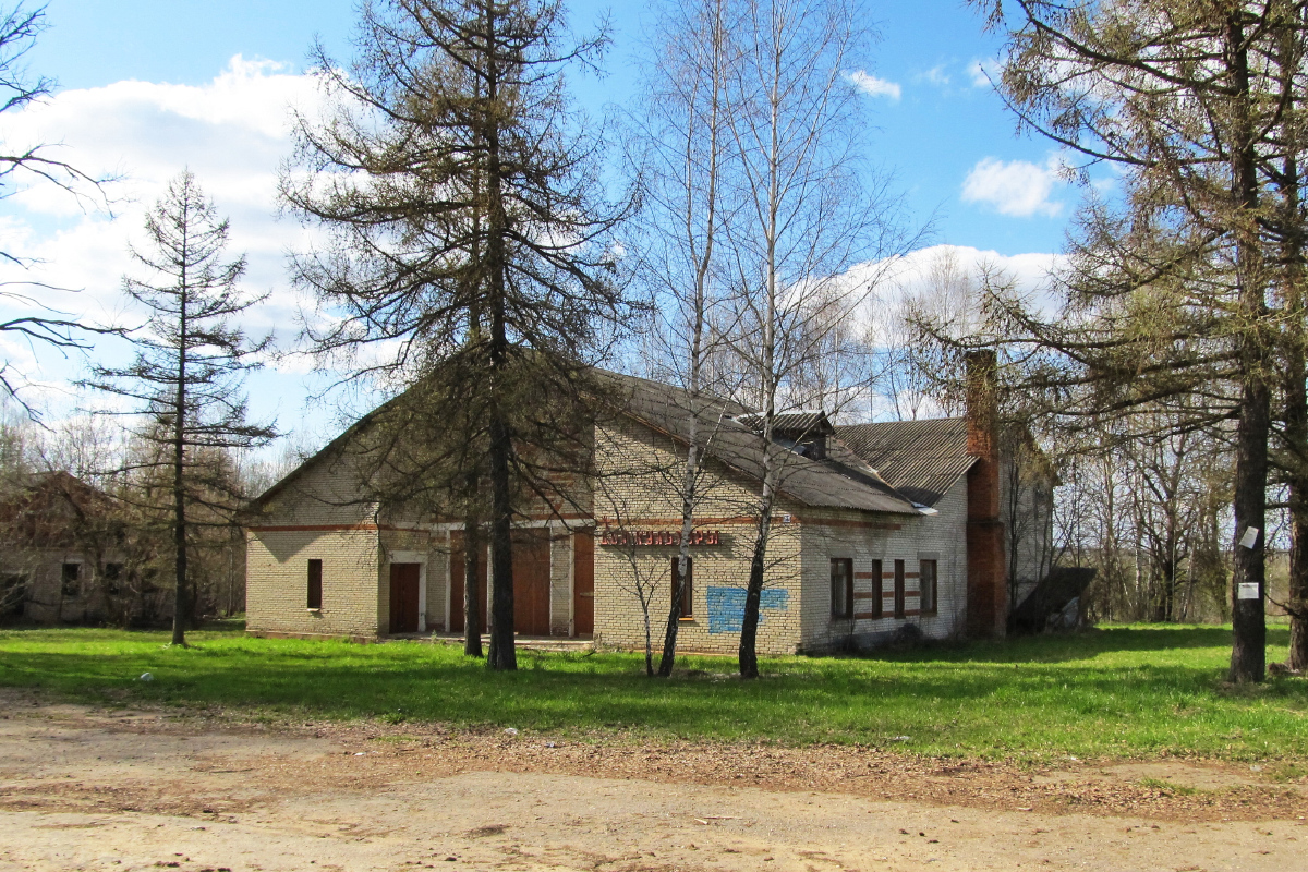 Mozhaisky Municipaldistrict other localities, дер. Горки, 32