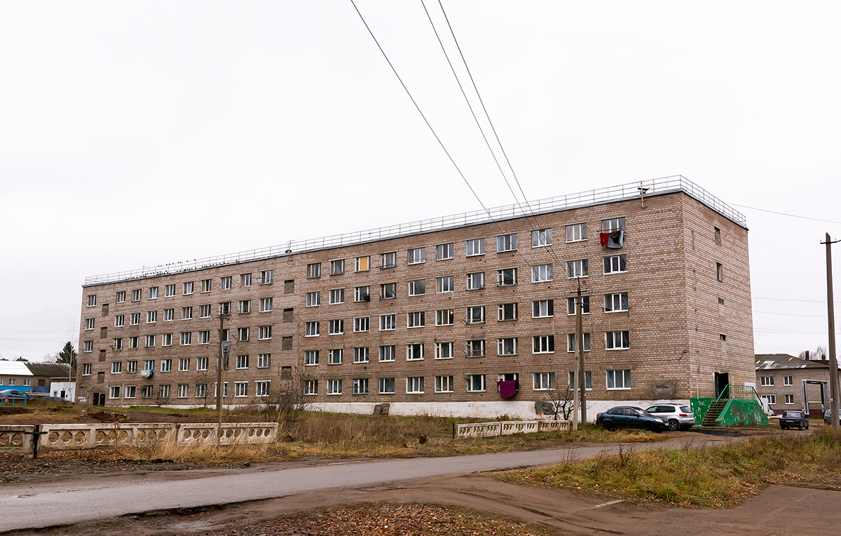 Благовещенск, Социалистическая улица, 22/1