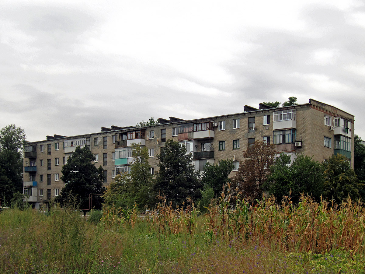 Артёмовский район, прочие н.п., с. Парасковиевка, Первомайская улица, 11