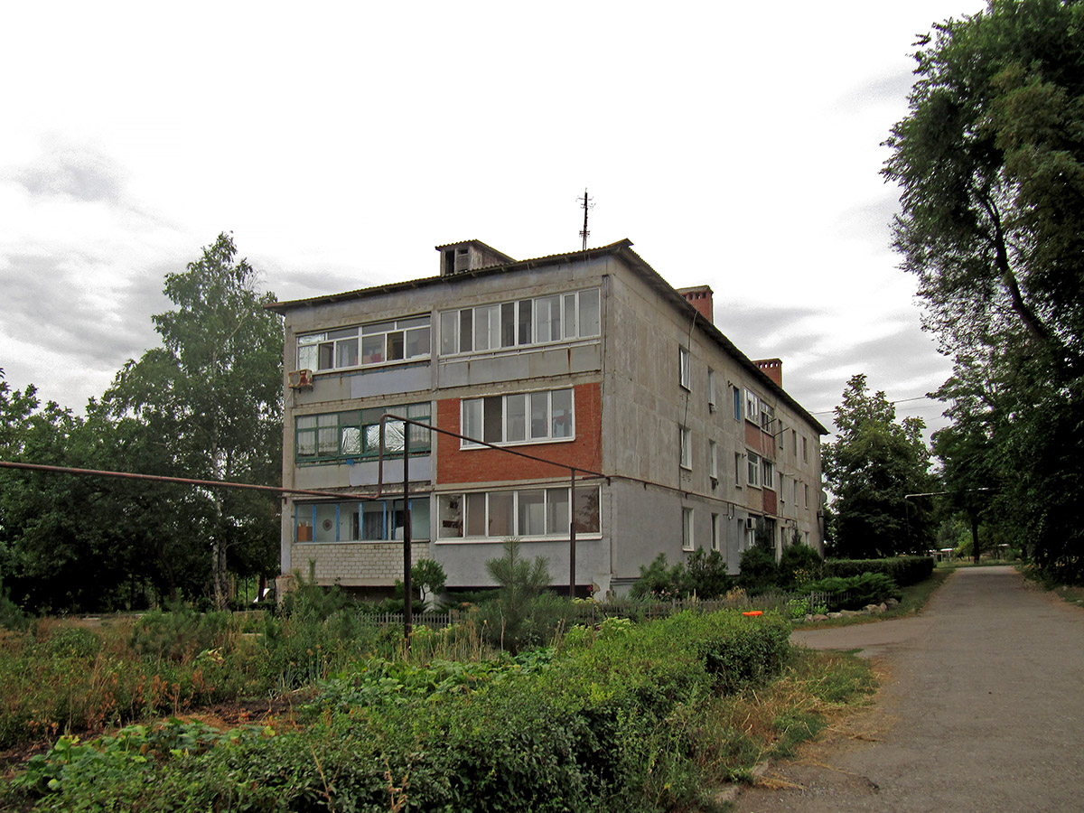 Артёмовский район, прочие н.п., с. Парасковиевка, Первомайская улица, 1