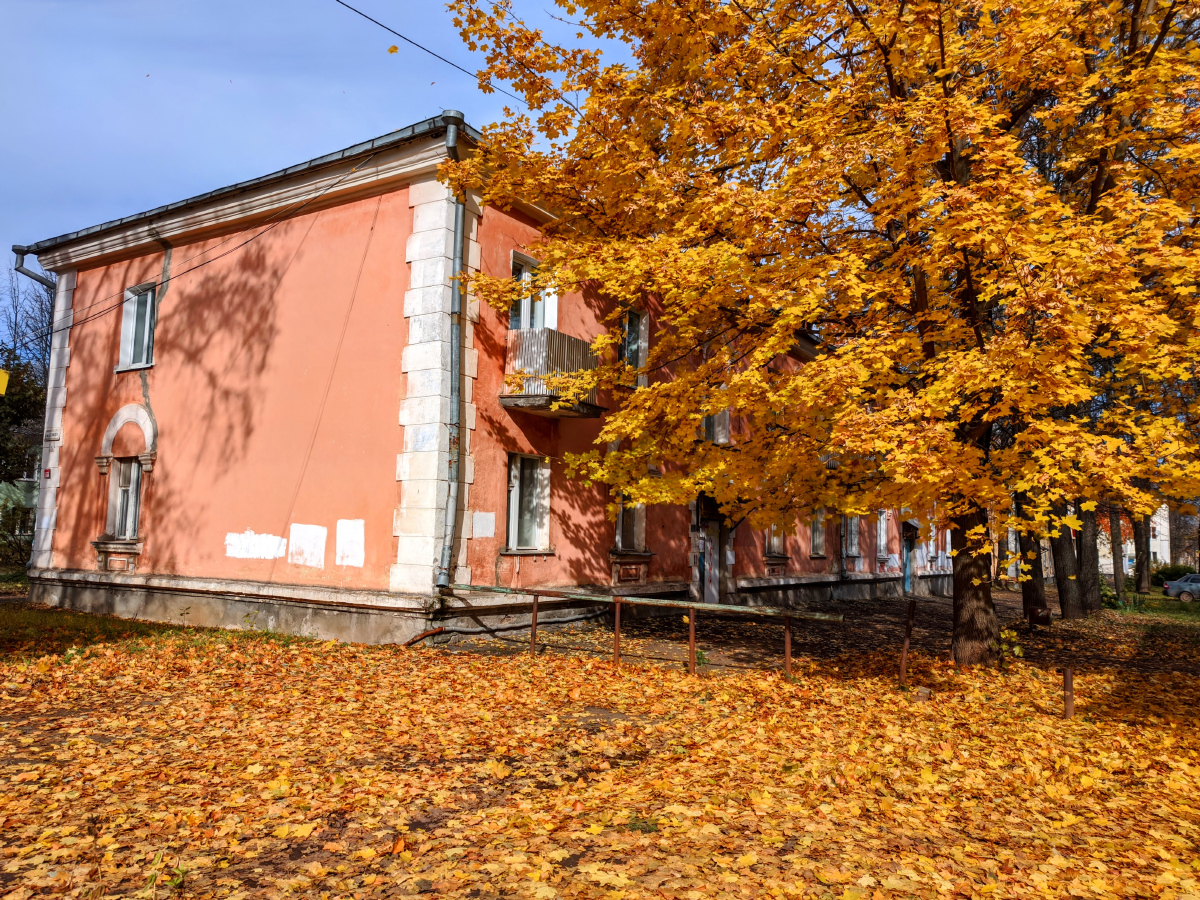 Глазов, Школьная улица, 5