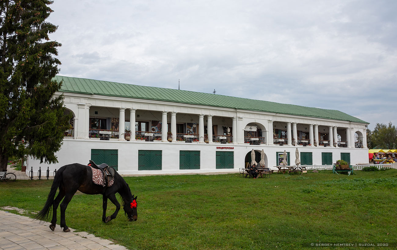 Суздаль, Улица Ленина, 63А