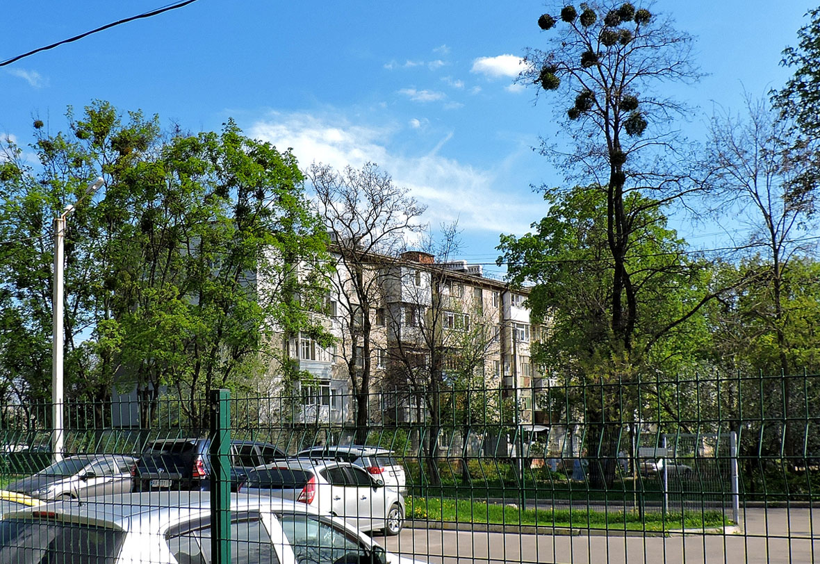 Charków, Улица Ощепкова, 16