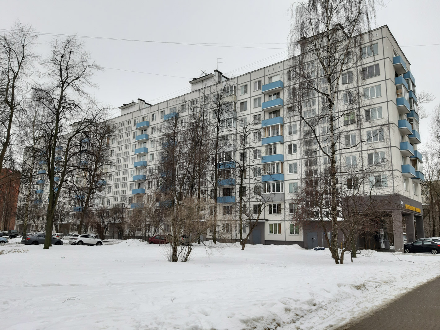 Санкт-Петербург, Заневский проспект, 51