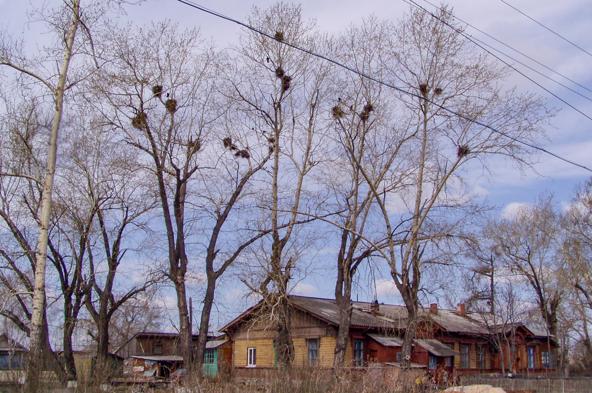 Невьянск, Железнодорожная улица, 9