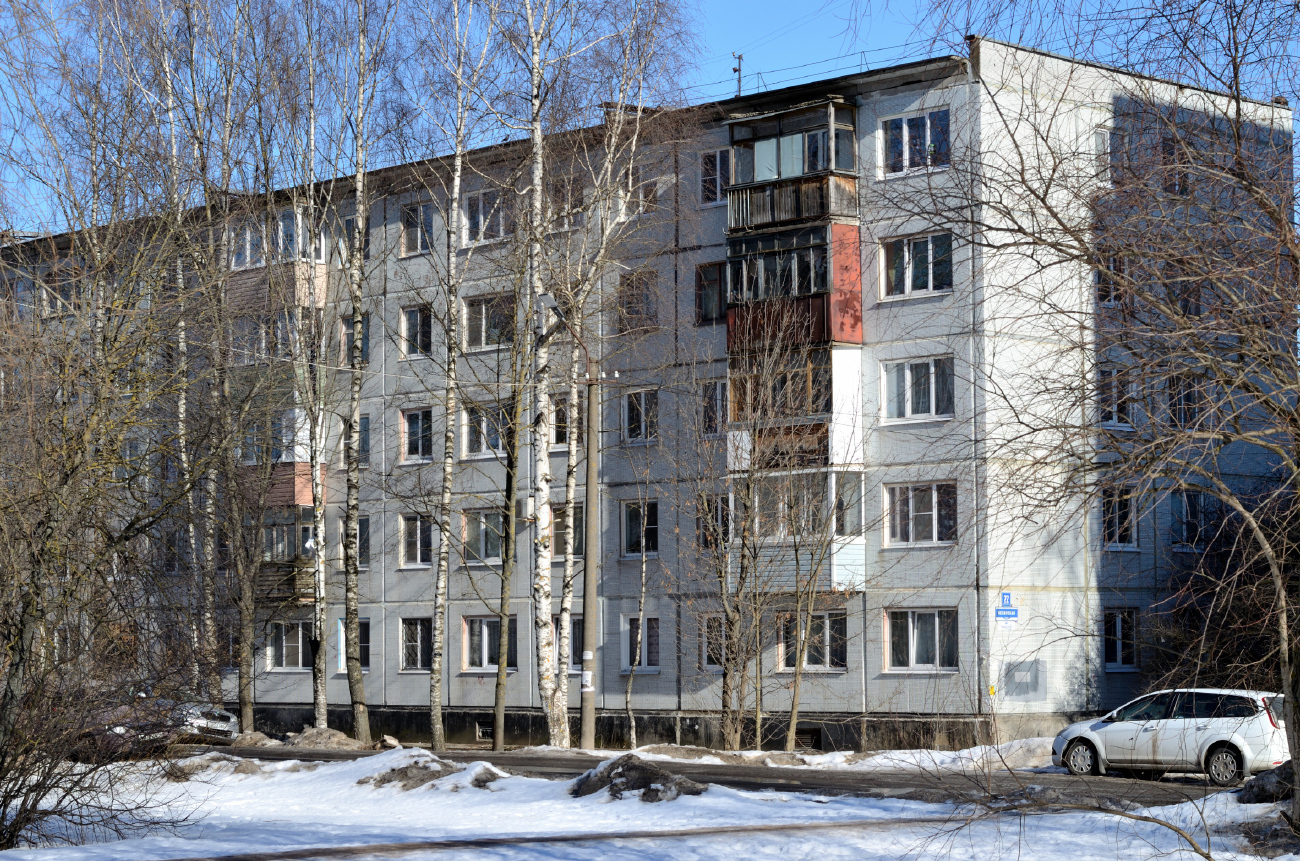 Великий Новгород, Нехинская улица, 22 корп. 2