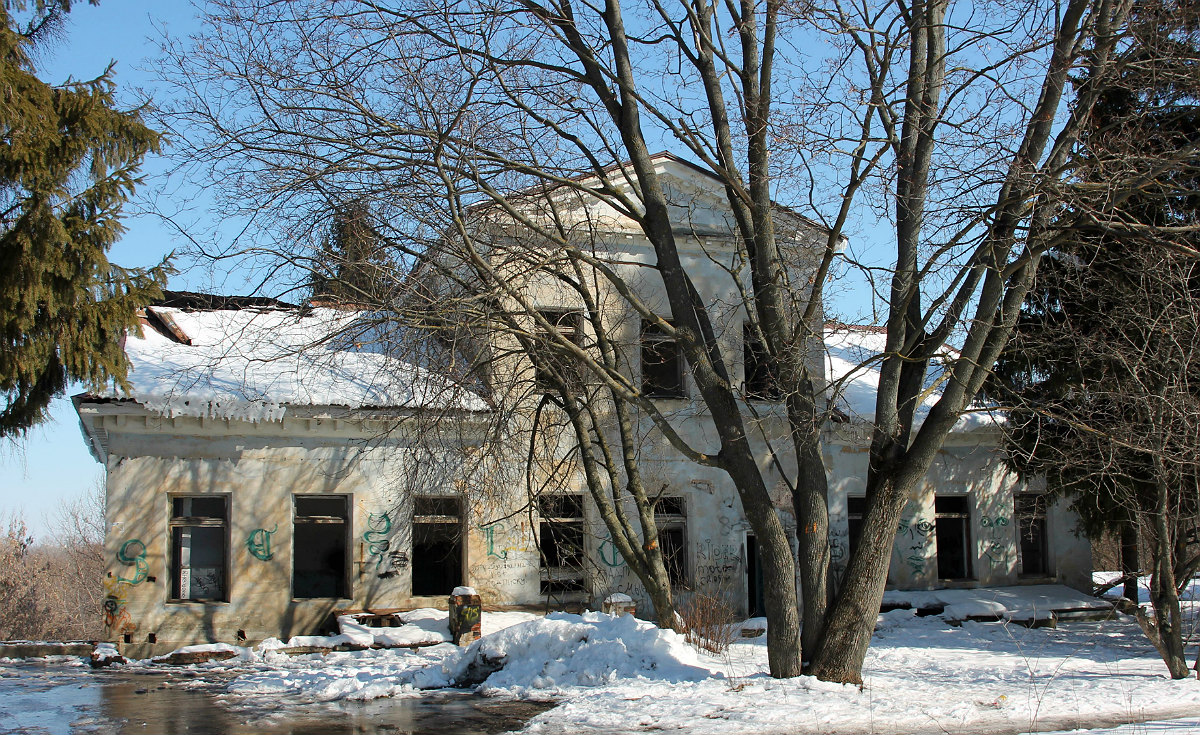 Семилуки, Улица Дача, 1А