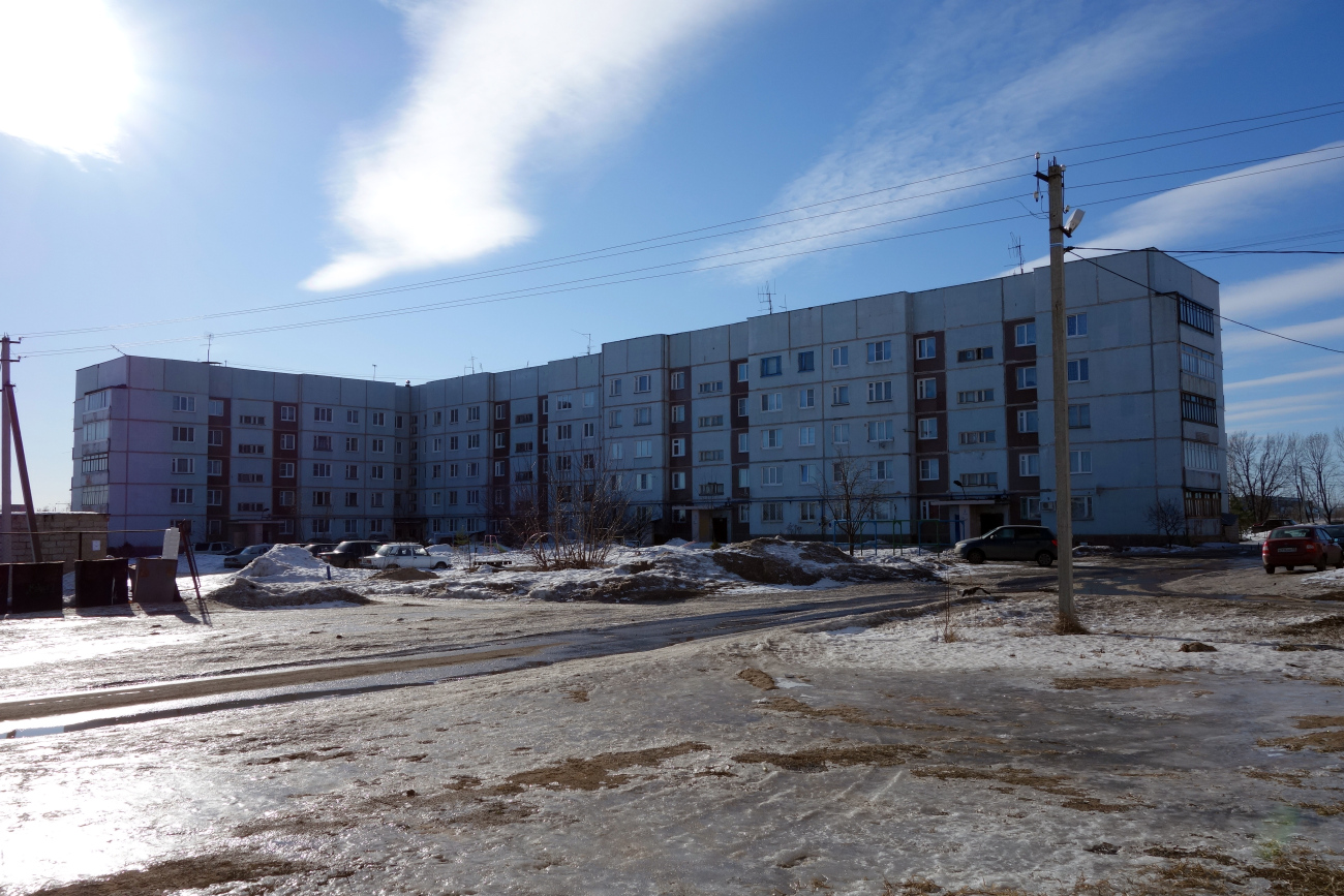 Новгородский район, прочие н.п., Дер. Трубичино, 38
