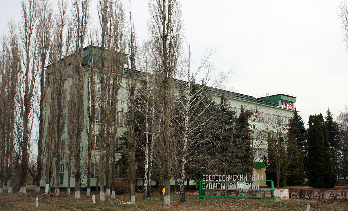 Рамонский район, прочие н.п., пос. ВНИИСС, 92