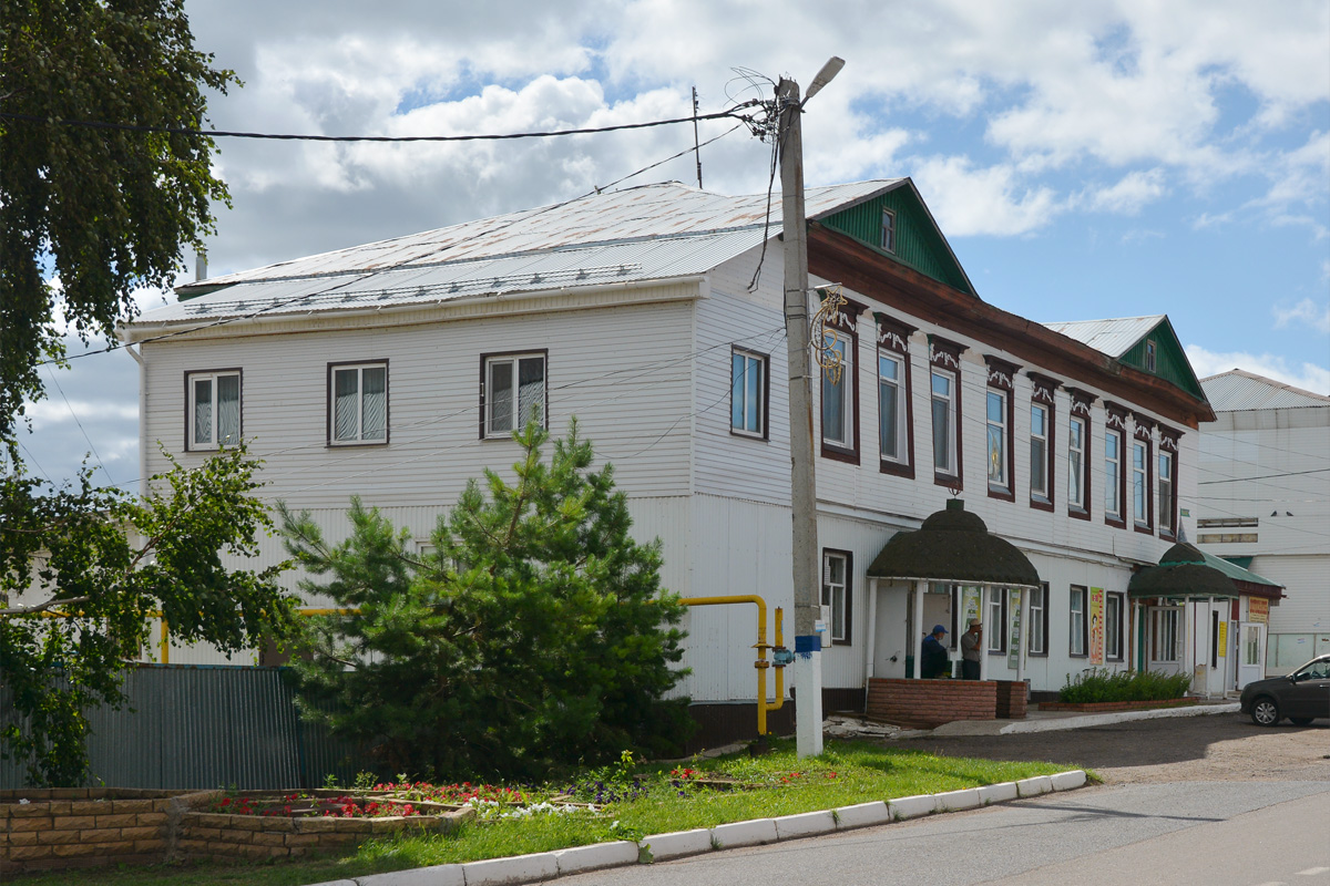 Мензелинск, Улица Чернышевского, 20