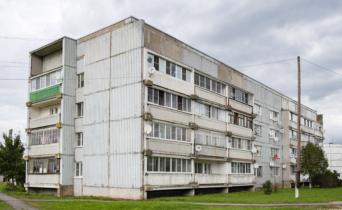 Наро-Фоминский городской округ, прочие н.п., дер. Веселёво, 12