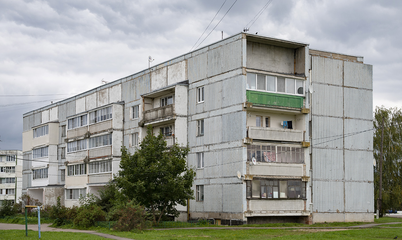 Наро-Фоминский городской округ, прочие н.п., дер. Веселёво, 12