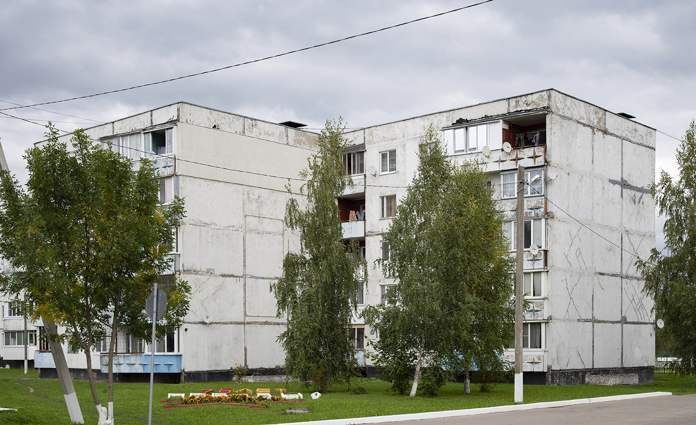 Naro-Fominsky city district, other localities, дер. Веселёво, 10