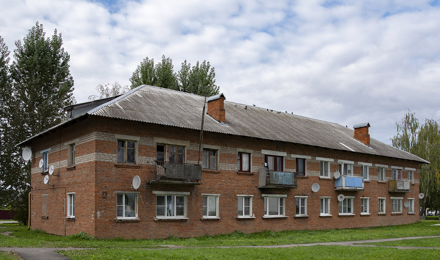 Наро-Фоминский городской округ, прочие н.п., дер. Веселёво, 2