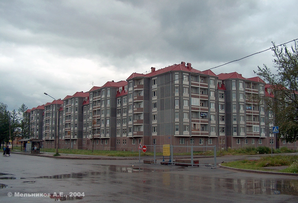 Пушкин, Красносельское шоссе, 48 / Сапёрная улица, 60