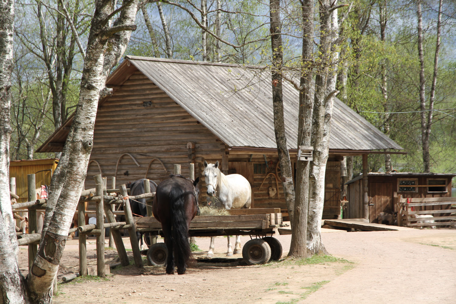 Великий Новгород, Витославлицы, 1 корп. 31