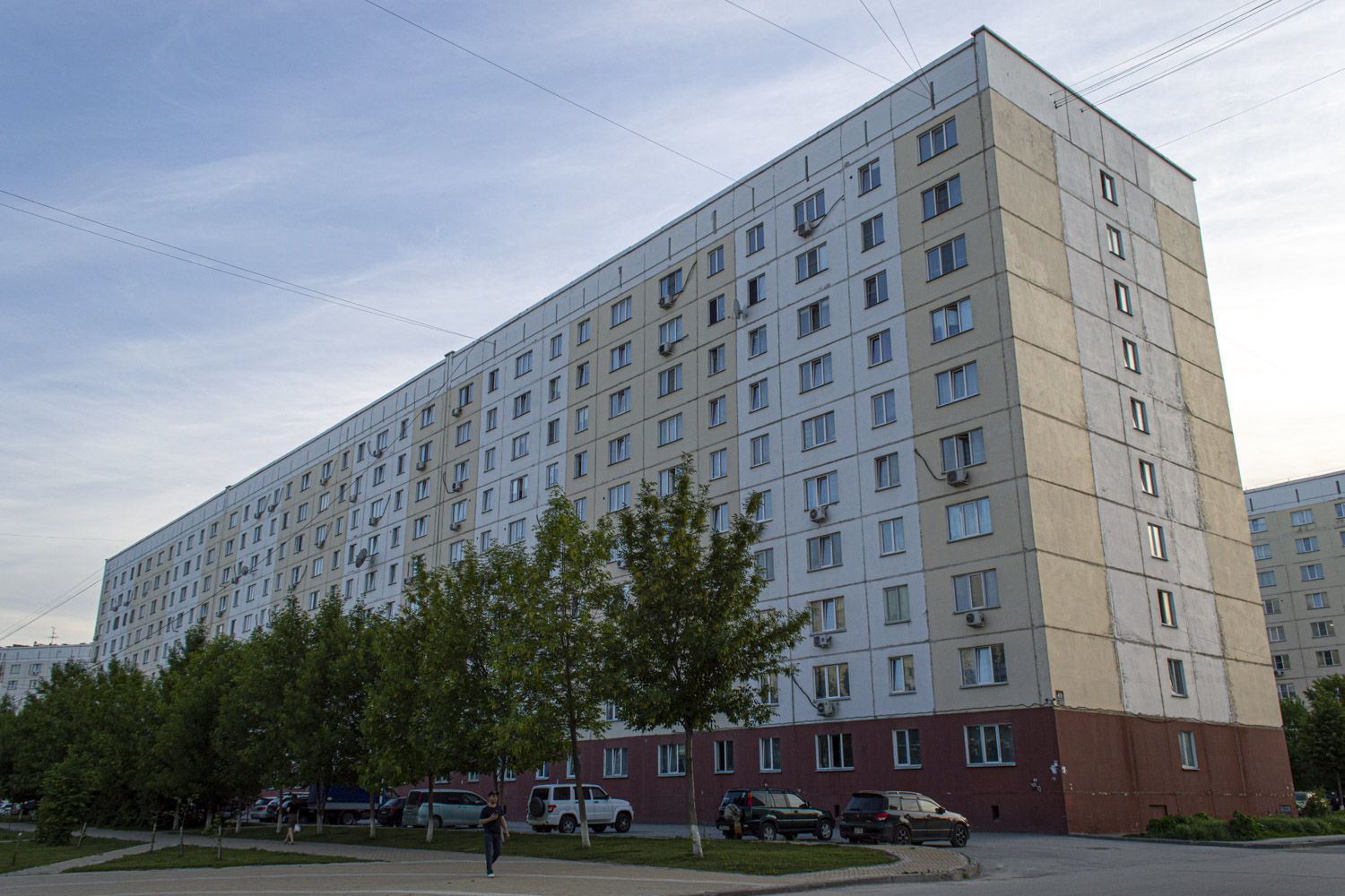 Новосибирск, Улица Татьяны Снежиной, 49