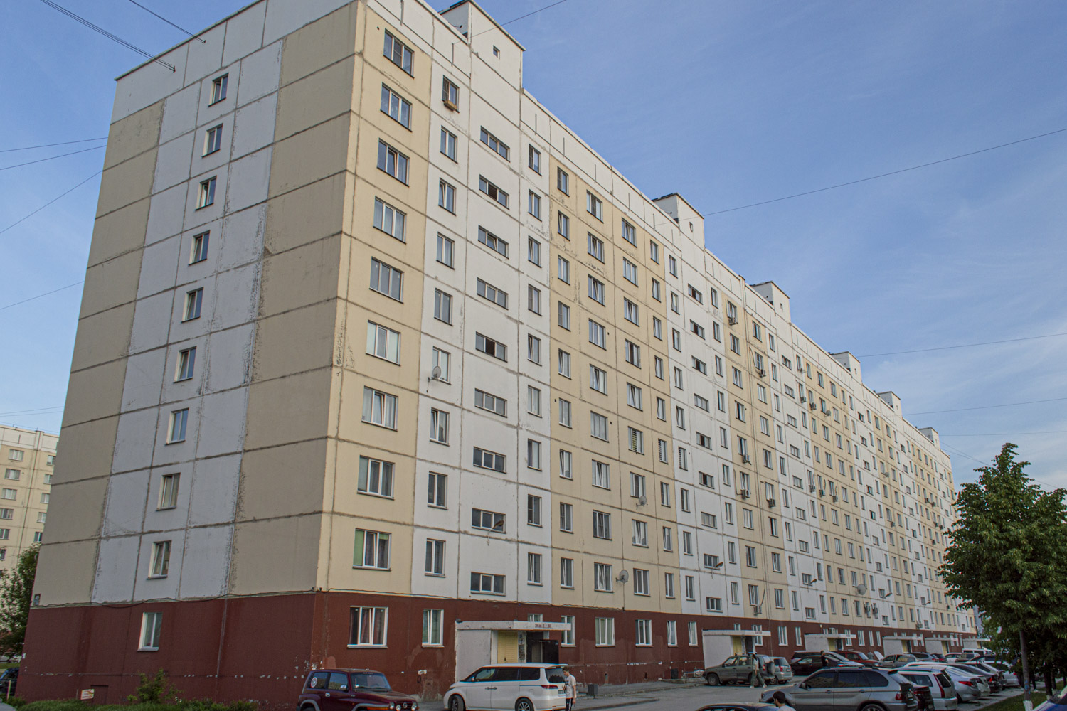 Новосибирск, Улица Татьяны Снежиной, 49