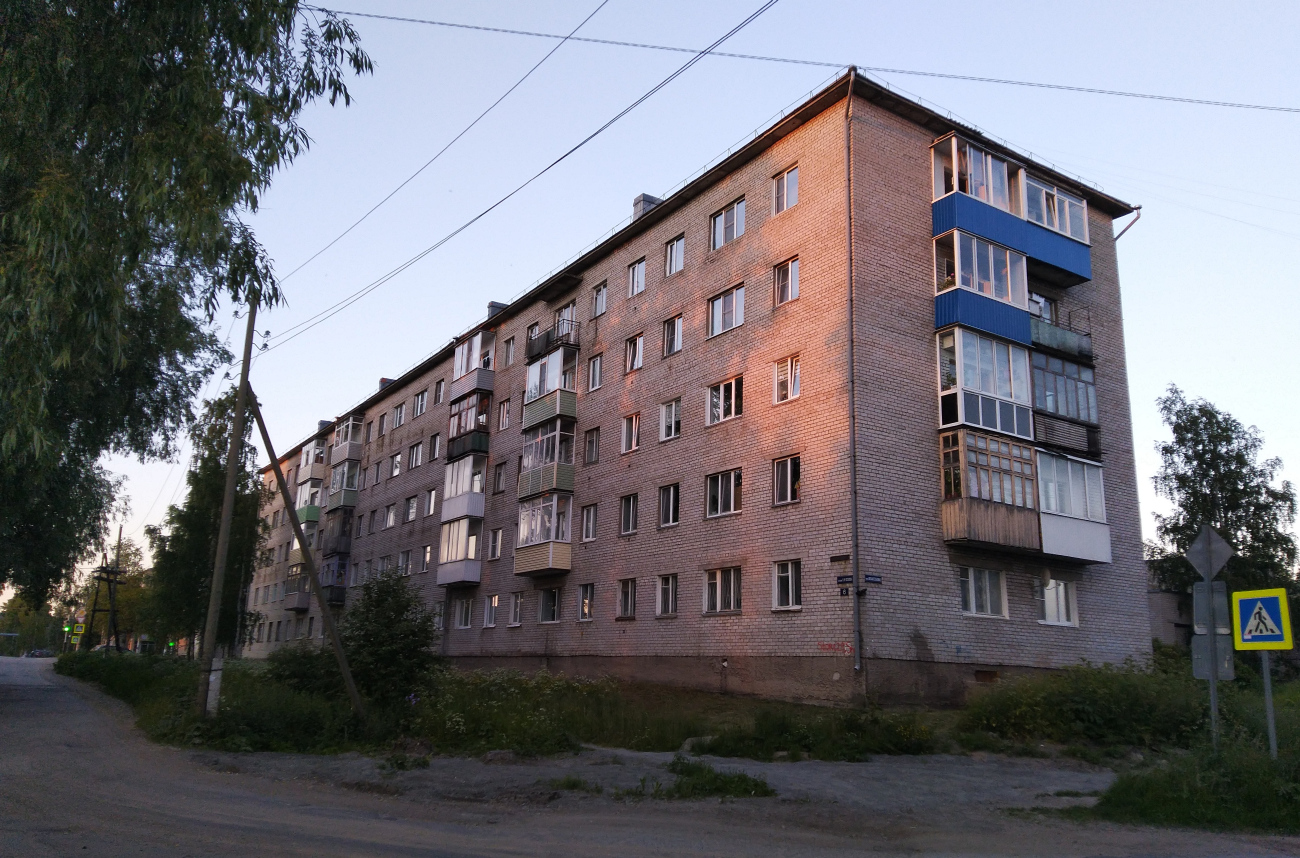 Онега, Улица Козлова, 6