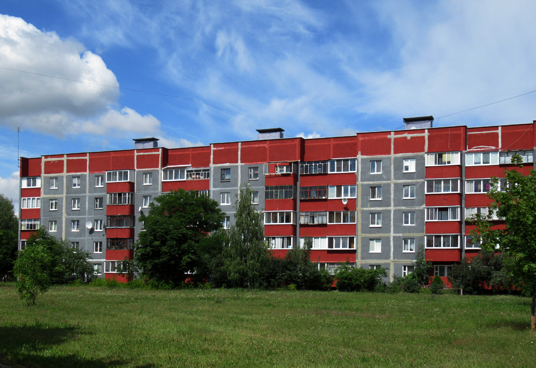 Дружный, Улица Шамановского, 55