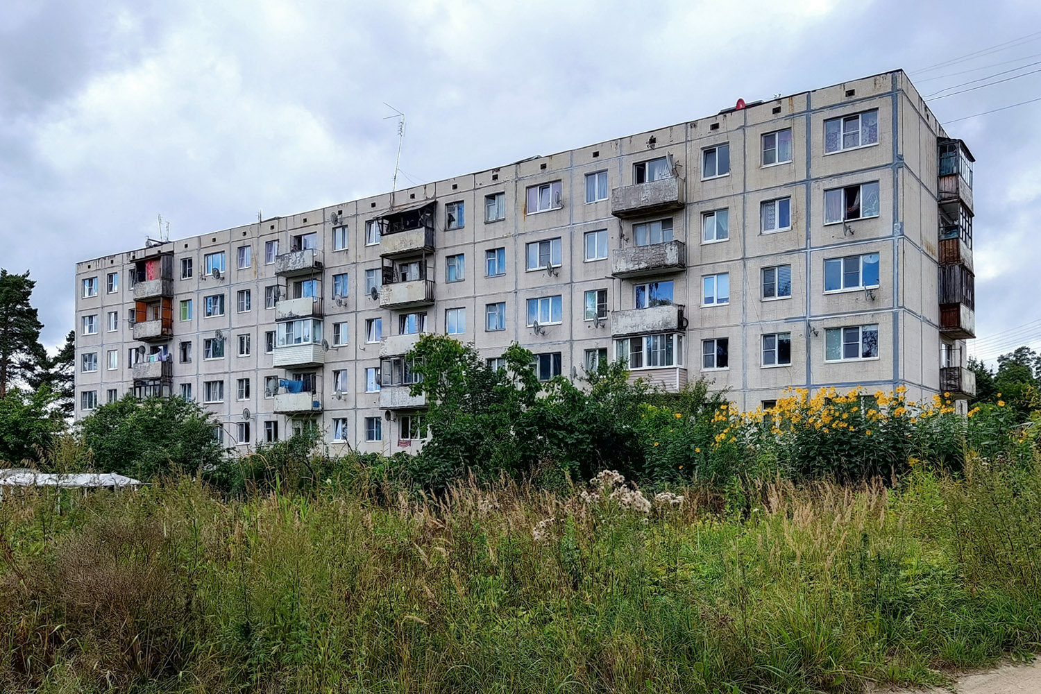 Приозерский район, прочие н. п., Мичуринское, Озёрный переулок, 11