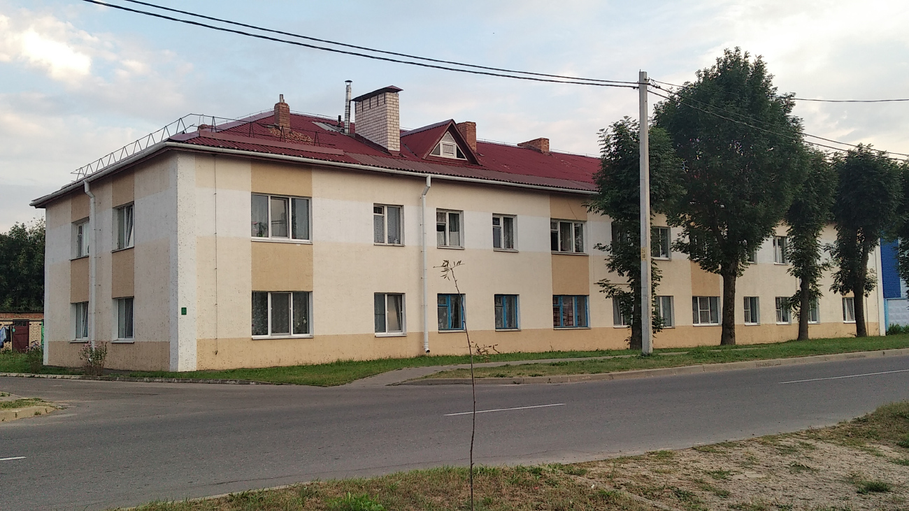 Дубровно, Красноармейская улица, 8