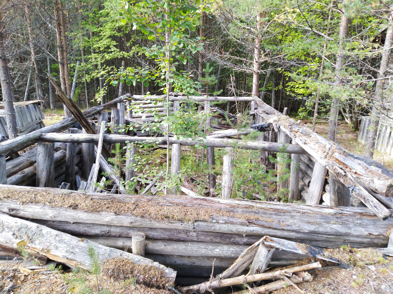 Приморский район, прочие н.п., Пос. Мудьюг, Концлагерь