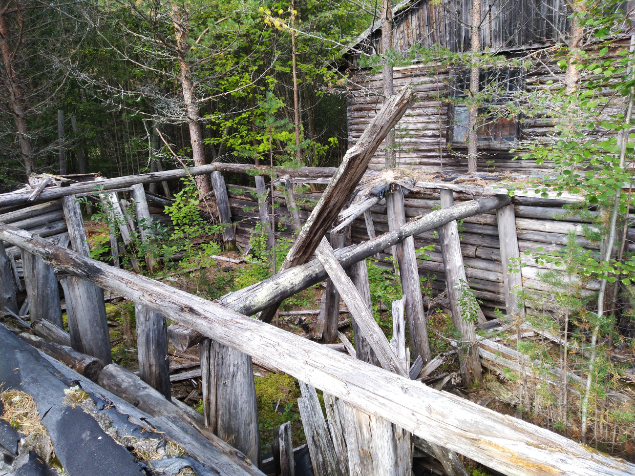 Приморский район, прочие н.п., Пос. Мудьюг, Концлагерь
