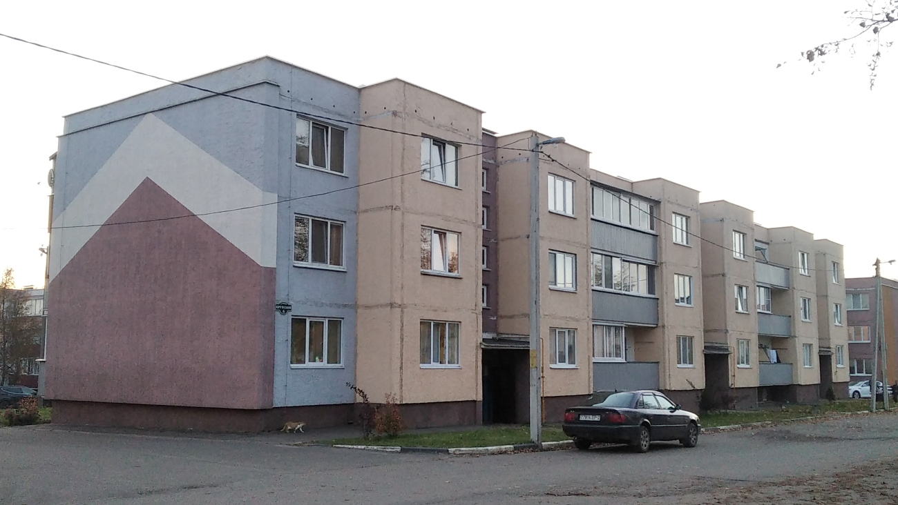 Дубровно, Улица Крупской, 6