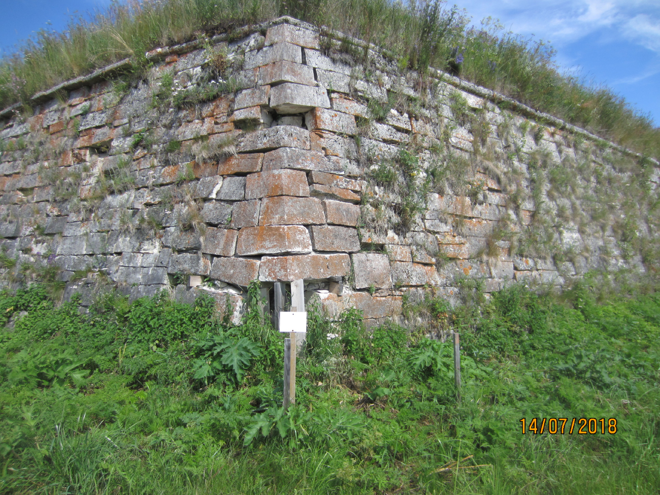 Архангельск, Улица Ивана Рябова, 17