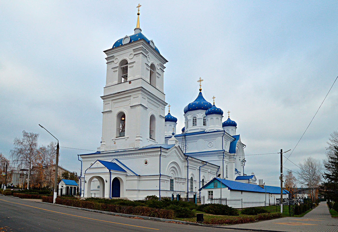 Репьёвский район, прочие н.п., С. Репьёвка, Воронежская улица, 22А