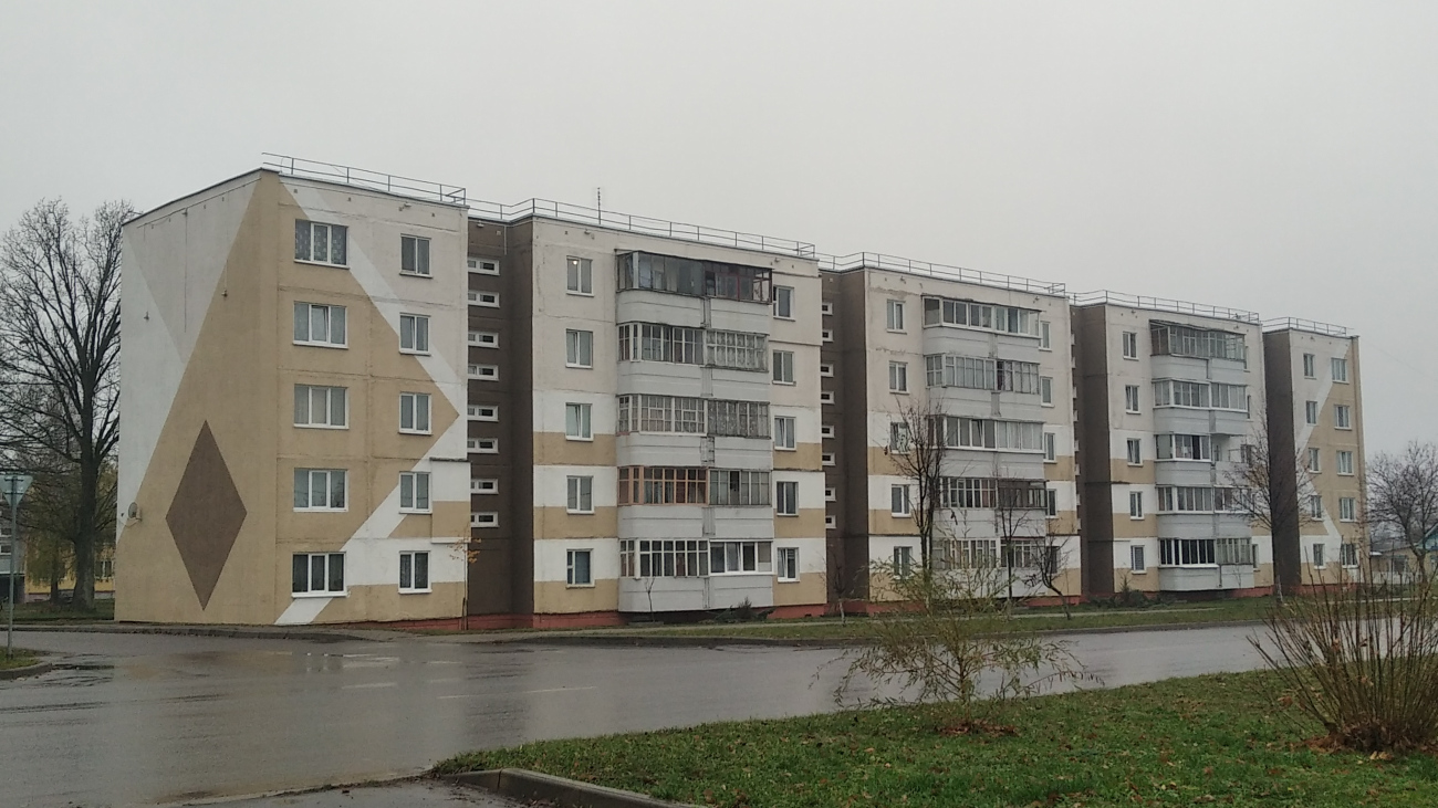 Дубровно, Улица Никандровой, 16