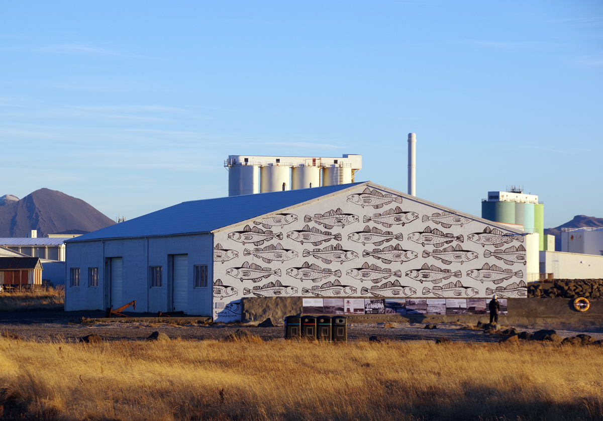 Акранес, Breiðargata, 2C