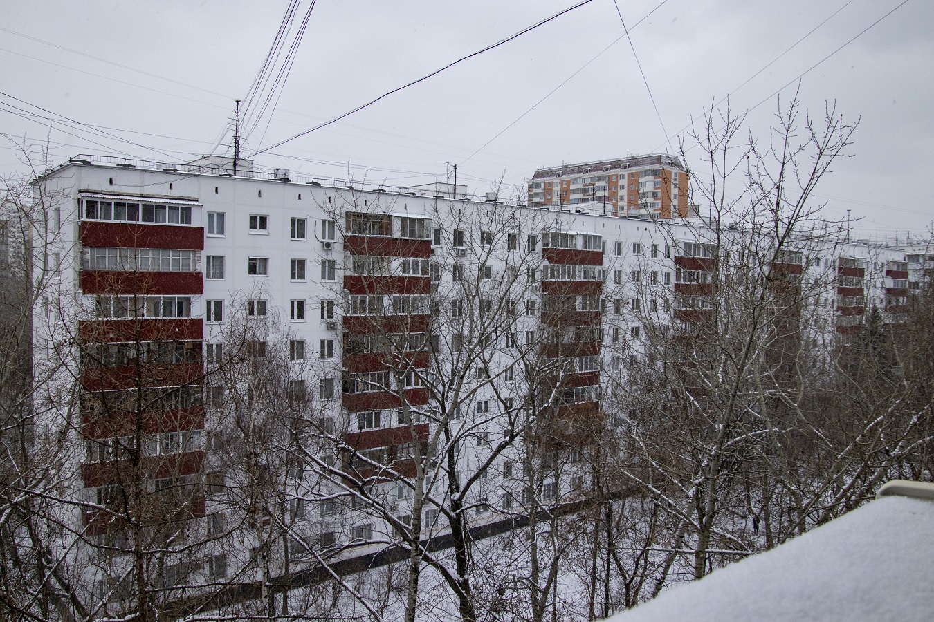 Москва, Фестивальная улица, 65