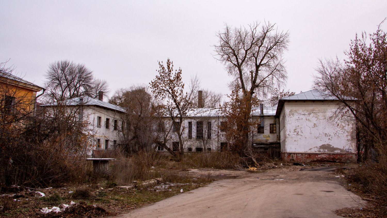 Самара, Улица Максима Горького, 60