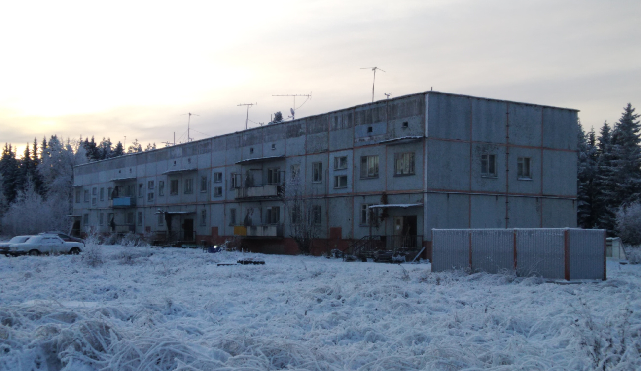 Холмогорский район, прочие н.п., дер. Леуново, 1