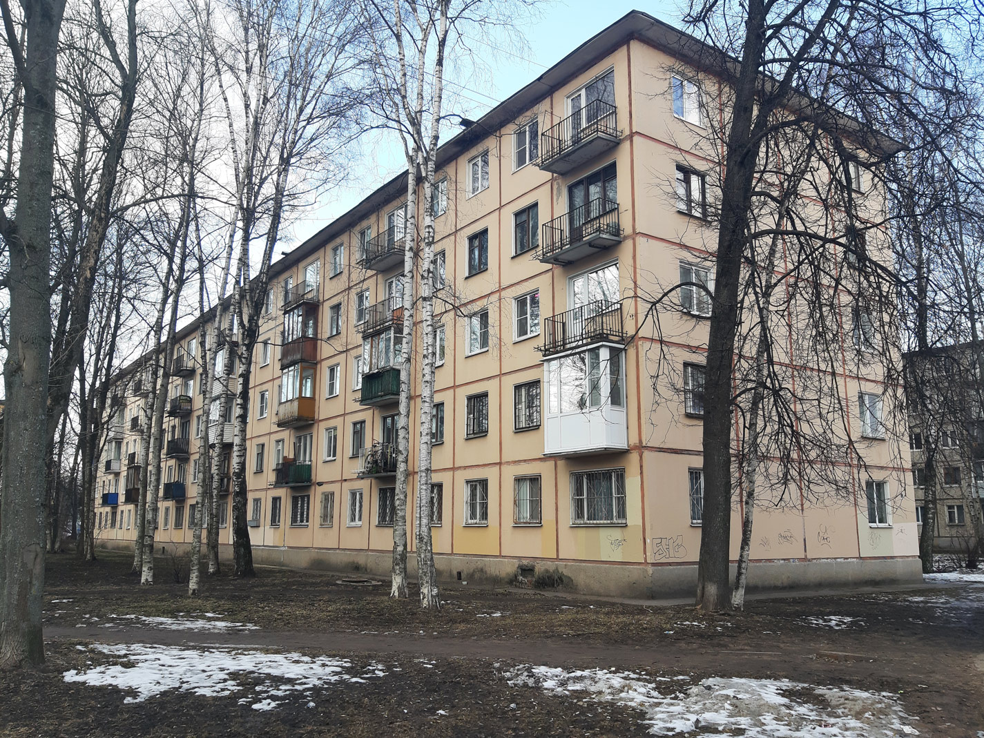 Санкт-Петербург, Проспект Шаумяна, 46