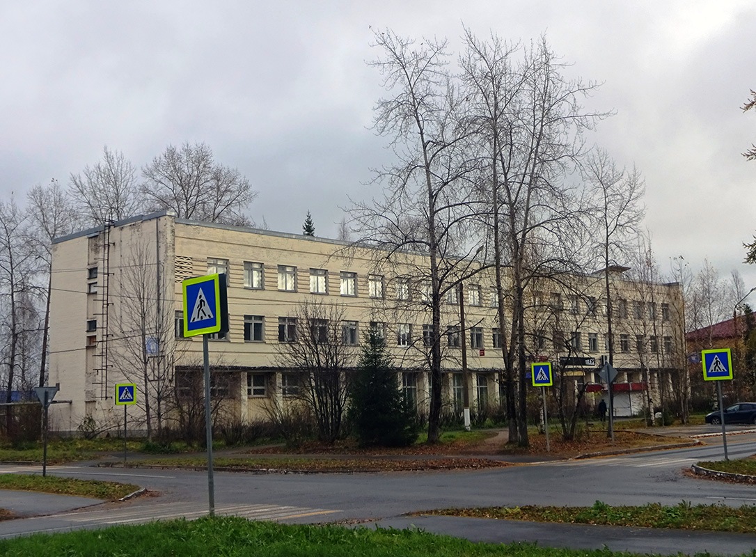 Мирный, Улица Неделина, 29