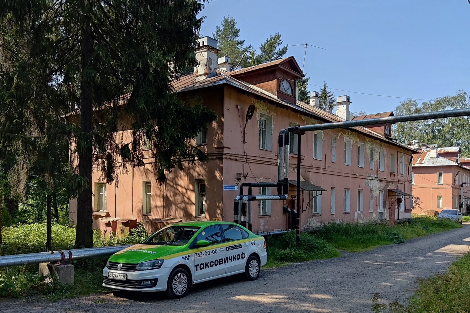 Всеволожск, Константиновская улица, 110