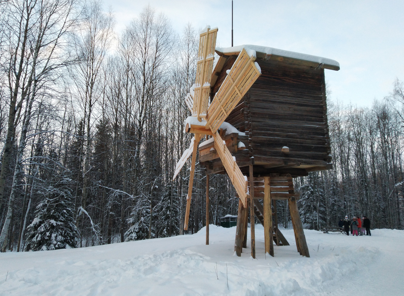 Приморский район, прочие н.п., дер. Малые Корелы, 2В (Мельница)
