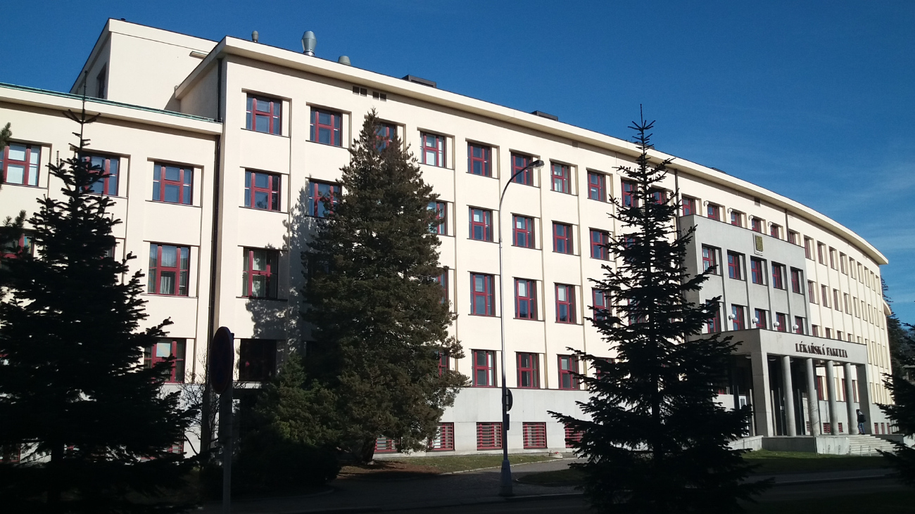 Градец-Кралове, Šimkova, 870