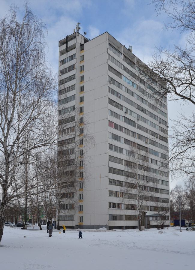 Набережные Челны, Московский проспект, 181