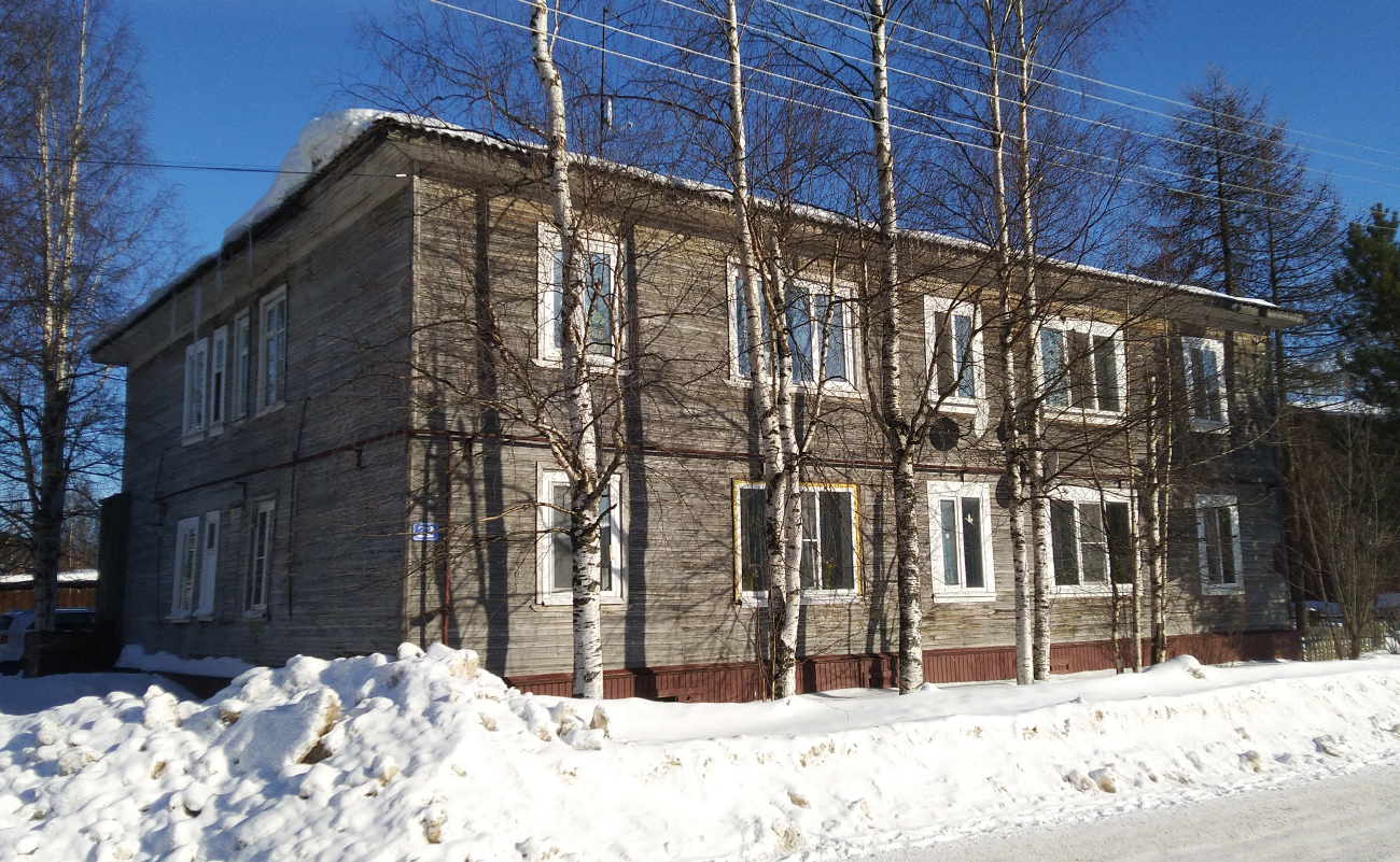 Холмогорский район, прочие н.п., с. Холмогоры, улица Ломоносова, 22