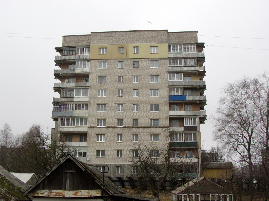 Новогрудок, Улица Мицкевича, 100А