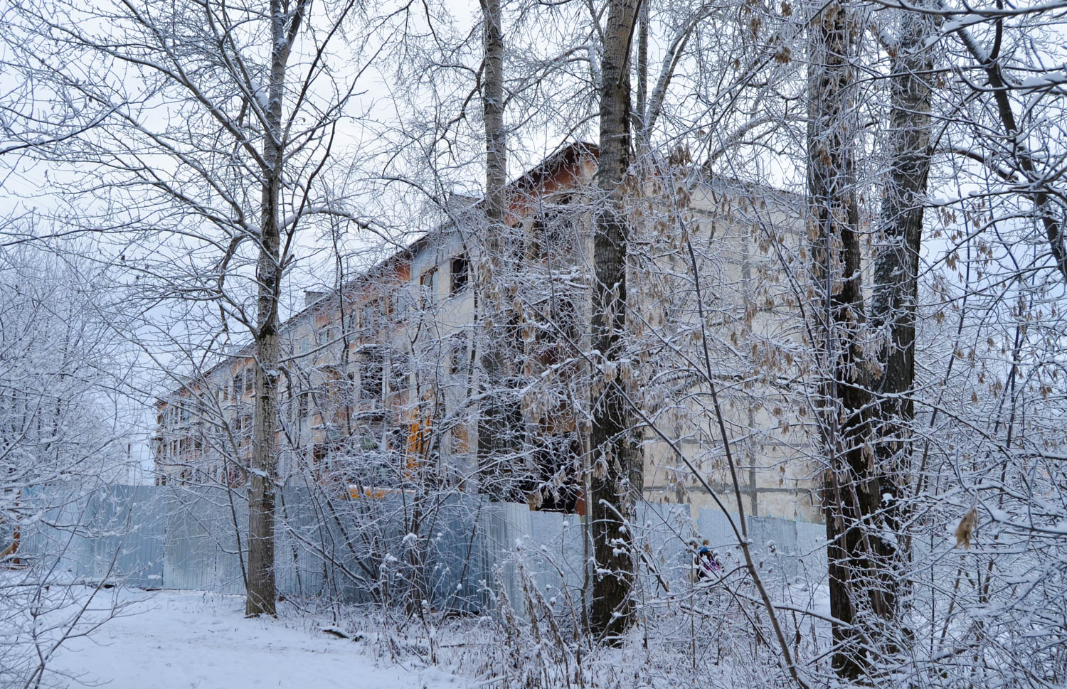 Березники, Улица Ломоносова, 66