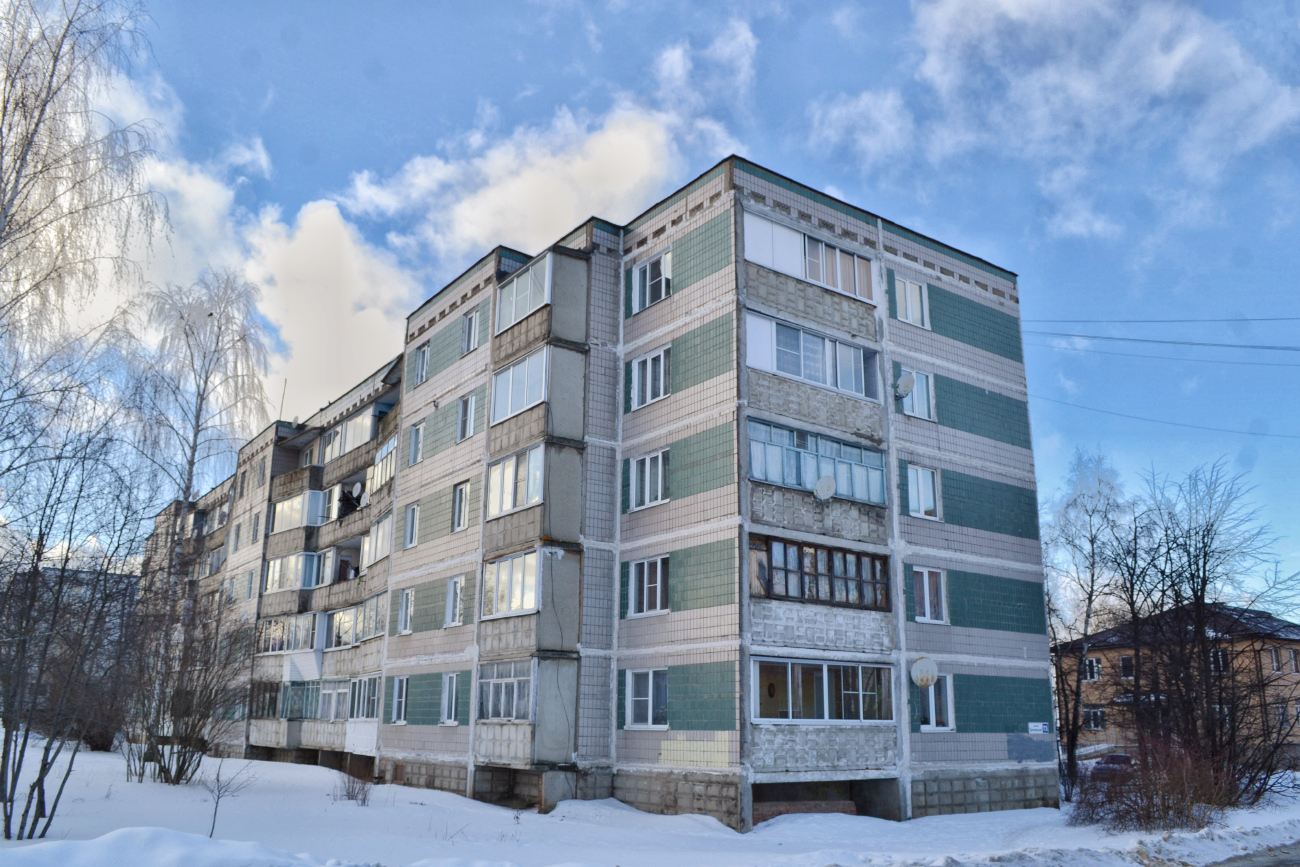 Сергиево-Посадский городской округ, прочие н.п., с. Шеметово, Центральная улица, 73