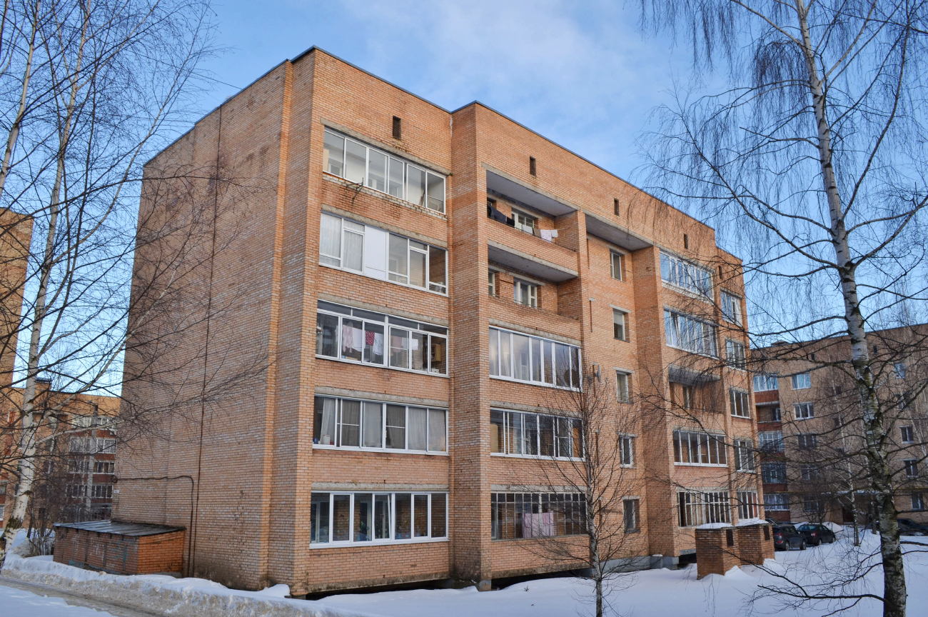 Сергиево-Посадский городской округ, прочие н.п., с. Шеметово, Микрорайон Новый, 25